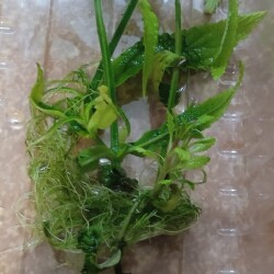 verb-23-apr4c943a9d1fb290cf