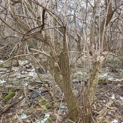 IMG_20260419_12020106312e074f10c498