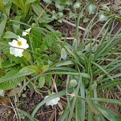 IMG_20260420_16460319f86e17b4029f7f