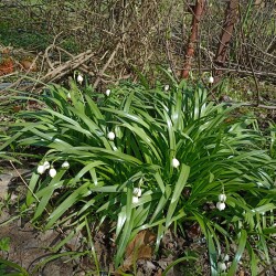 IMG_20260422_1325378c4bf2f58ef4c42c