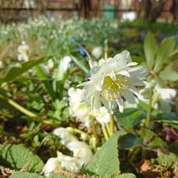 IMG_20260422_1554418b181206b5f53ca3