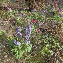 IMG_20260422_160116a320197b5f4aac61