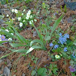 IMG_20260422_1627486451915842e98545