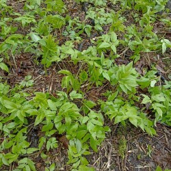 IMG_20260429_103135c98428b9e3f85c3b