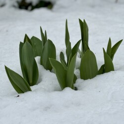 IMG_150030591fb21be1c2b9