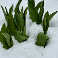 IMG_150142cd3ba6030d0846