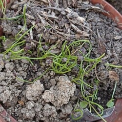 IMG_20260430_0940519fc1e48c1aafcf9b