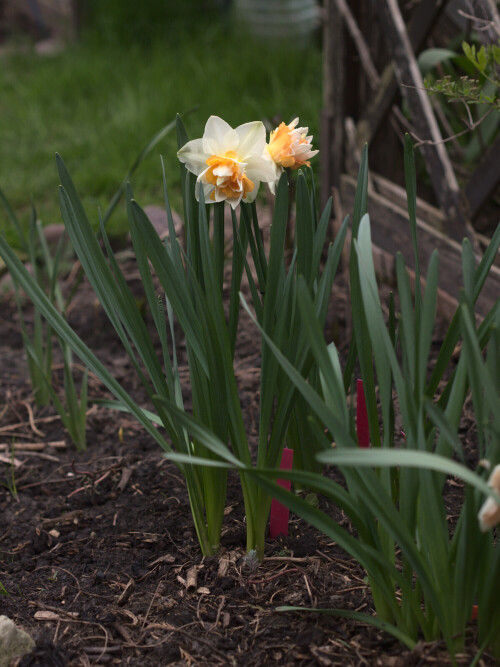 P50396043ce6f629d890eb37.jpg