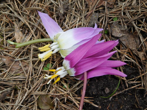 DSCN334509b9c241062b53f0.jpg
