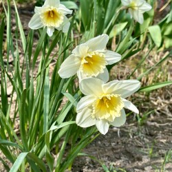 IMG_1549f663388c4769ab1b