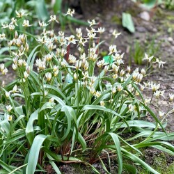 IMG_1582a30cff00d11f2487