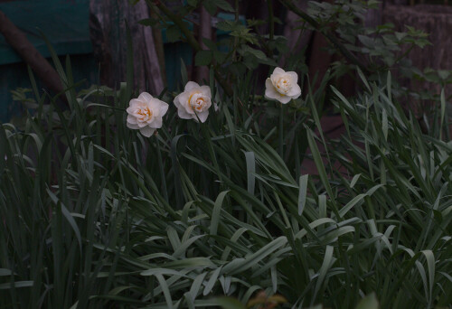 P5109628aa08ce50e89041ee.jpg
