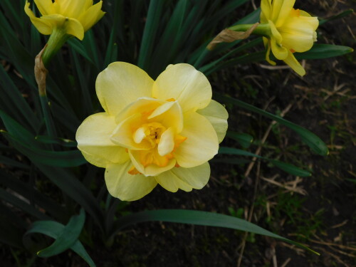 DSCN33916eb3e3662b257e98.jpg