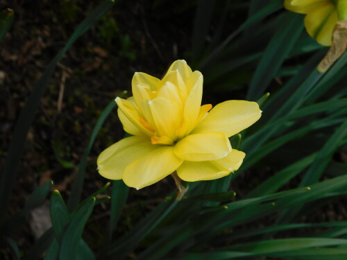 DSCN3393baf88872bdfdf86b.jpg