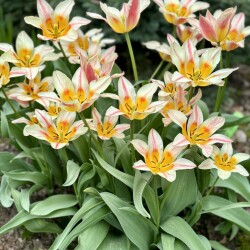 IMG_1595f948ab4177414a62