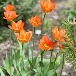 IMG_1669966346305470cc14