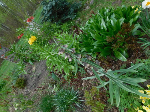 DSCN3558d3ce30850880a43a.jpg