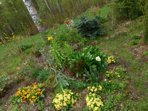 DSCN35594dff065d15dc6f4e.jpg