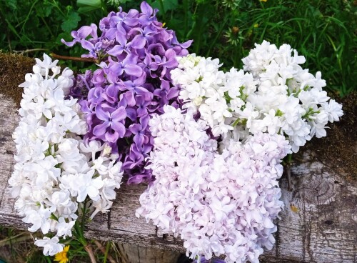 22 may