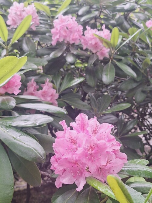 4e34cbc0-d727-46c6-b4cb-97147af51738e73aa2a5c8a47d57.jpg