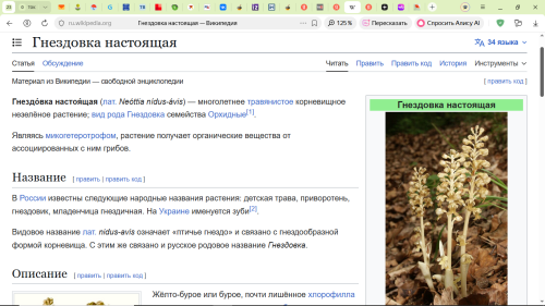 GNEZDOVKA4ef24bfd7111043e.png
