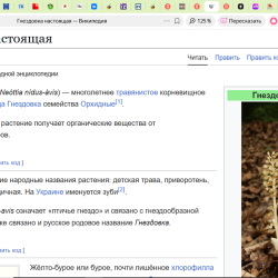 GNEZDOVKA4ef24bfd7111043e