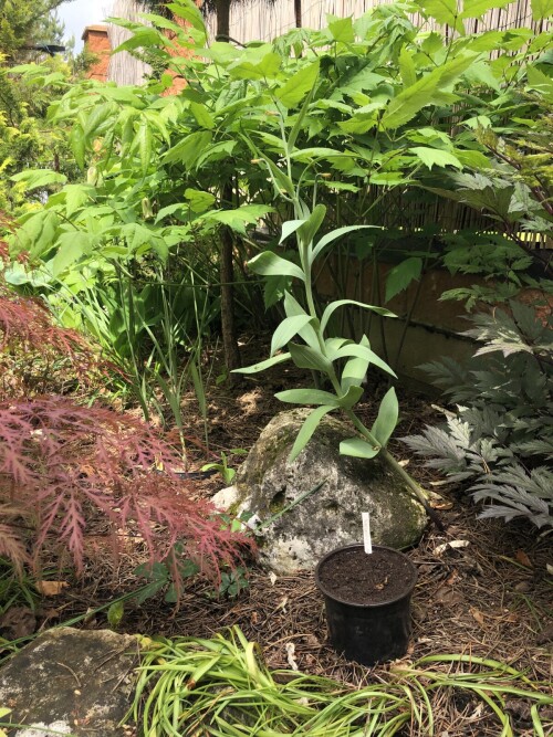 IMG_1829db7da75e45cef5cd.jpg