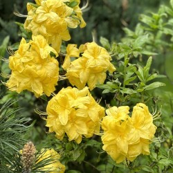 IMG_1877a5a4f581da54d403
