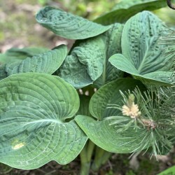 IMG_189648c8c19ffde0e972